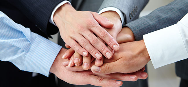 Our Partners